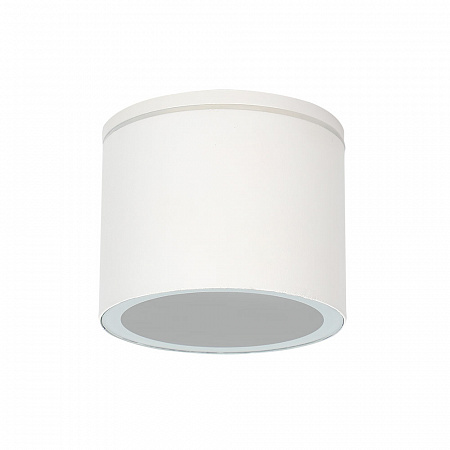 Накладной светильник Arte Lamp Piautos A1913PF-1WH Накладной светильник Arte Lamp Piautos A1913PF-1WH