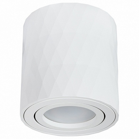 Накладной светильник Arte Lamp Fang A5559PL-1WH Накладной светильник Arte Lamp Fang A5559PL-1WH