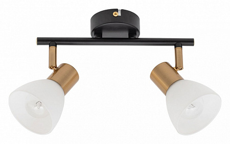Спот Arte Lamp Falena A3117PL-2BK Спот Arte Lamp Falena A3117PL-2BK