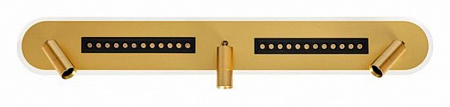 Спот Arte Lamp Pisces A2220PL-3GO Спот Arte Lamp Pisces A2220PL-3GO