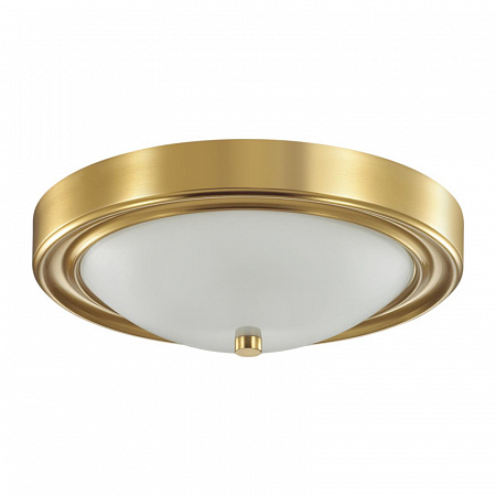 Накладной светильник Lumion Nina 5259/2C Накладной светильник Lumion Nina 5259/2C